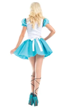Be Wicked COSTUMES Wonderland Hero Costume