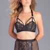 Be Wicked Karina Lingerie Set